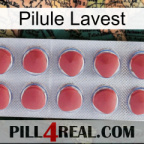 Lavest Pill 18